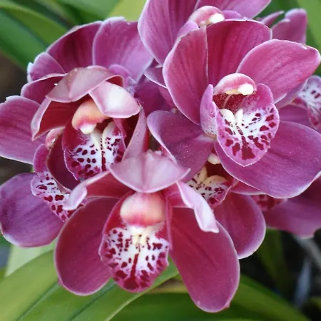 Alltominho - Summer Holidays Afife