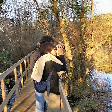 Hébergement de vacances Alltominho - Summer Holidays Afife