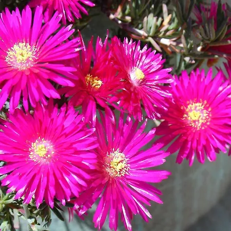 Alltominho - Summer Holidays Hébergement de vacances