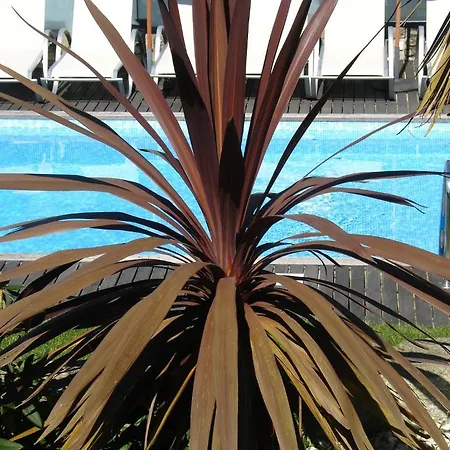 Alltominho - Summer Holidays Hébergement de vacances *