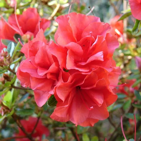 Alltominho - Summer Holidays Hébergement de vacances