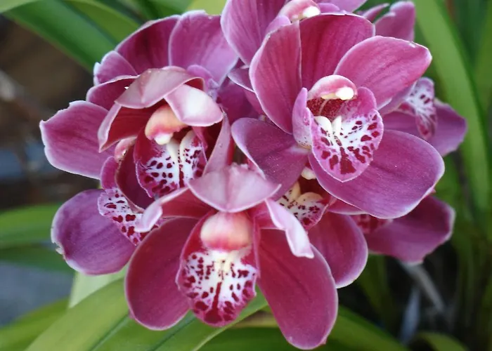 Alltominho - Summer Holidays Afife