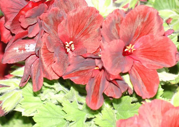 Casa vacanze Alltominho - Summer Holidays *