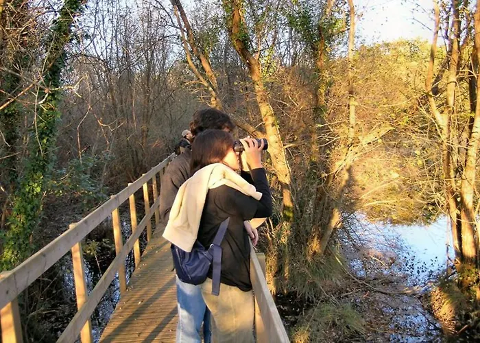 Casa vacanze Alltominho - Summer Holidays Afife