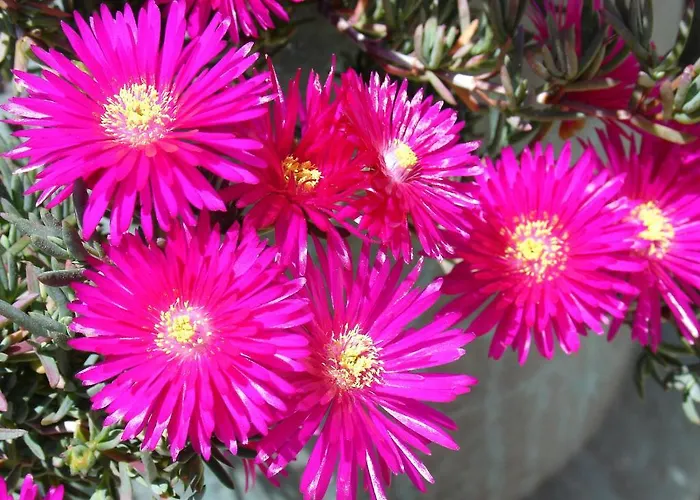 Alltominho - Summer Holidays Casa vacanze