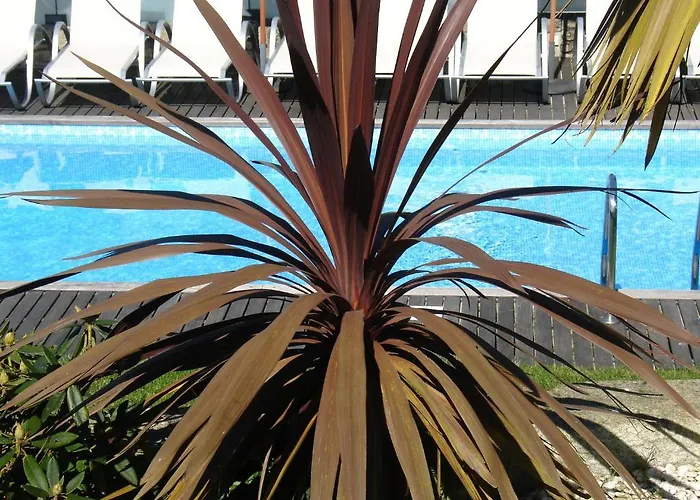 Alltominho - Summer Holidays Holiday home *