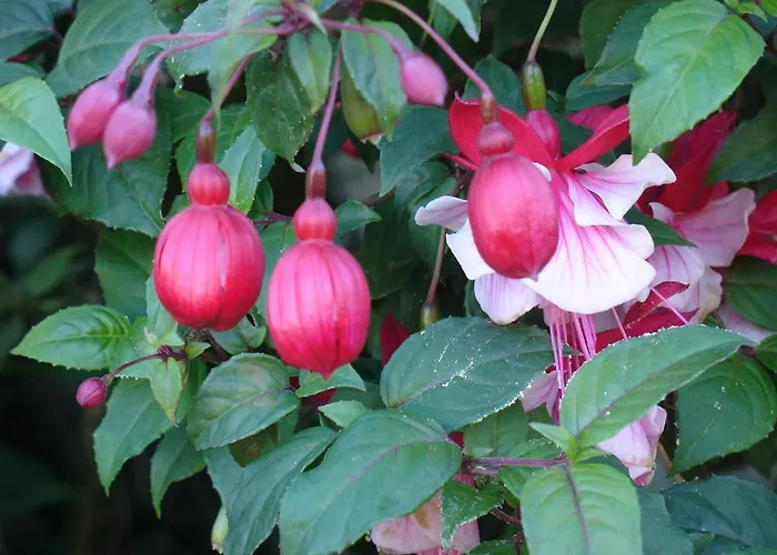 Holiday home Alltominho - Summer Holidays