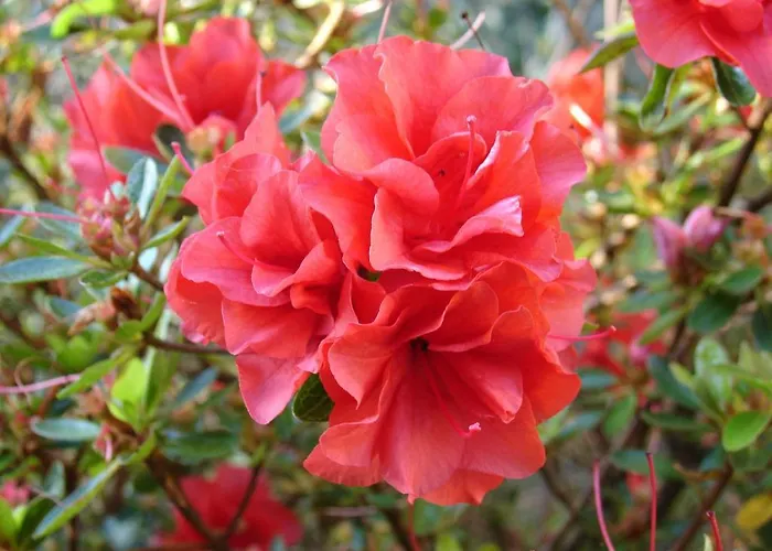 Alltominho - Summer Holidays Holiday home